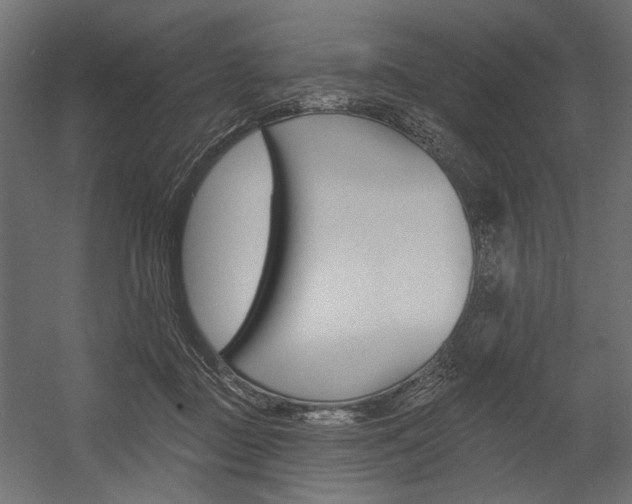X0000054360363200507290811