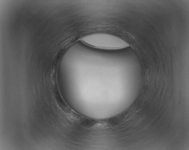 X0000054360364200507290811