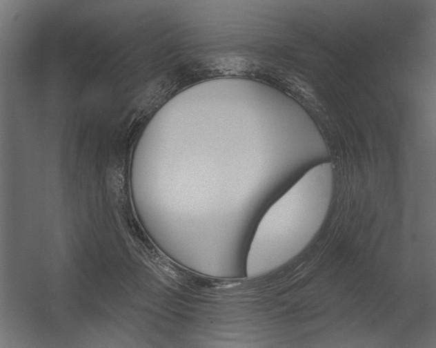 X0000054360365200507290811