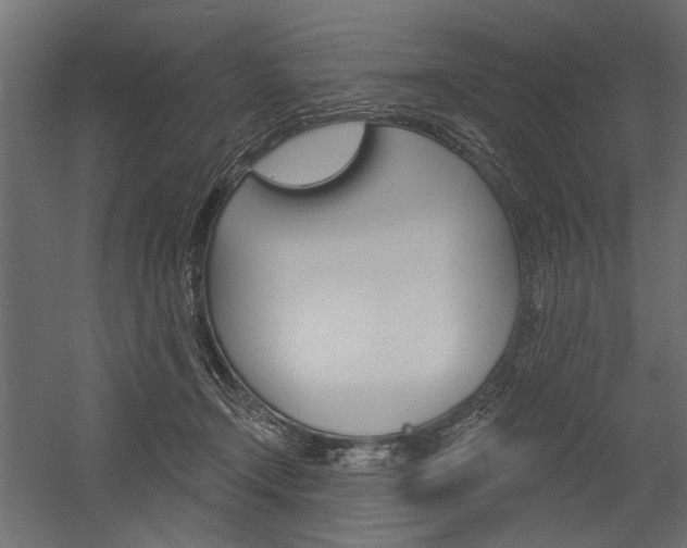 X0000054360366200507290811