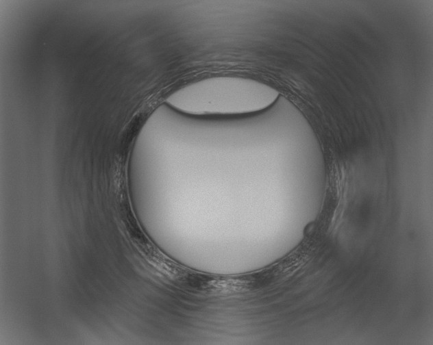 X0000054360367200507290811
