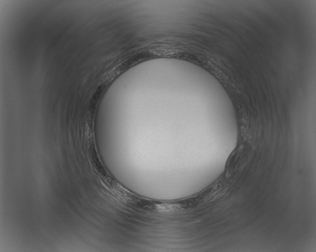 X0000054360371200507290811