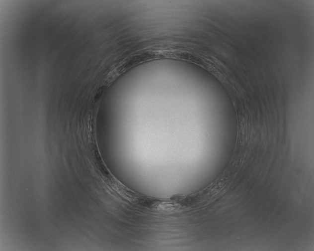 X0000054360372200507290811