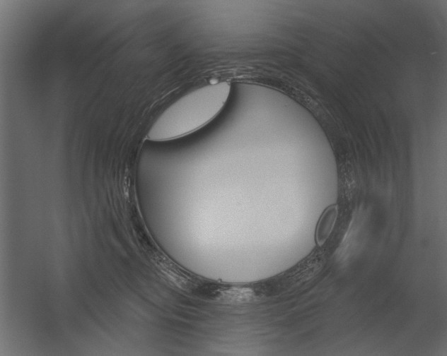 X0000054360374200507290811