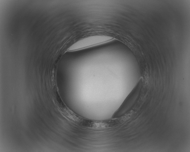 X0000054360376200507290811