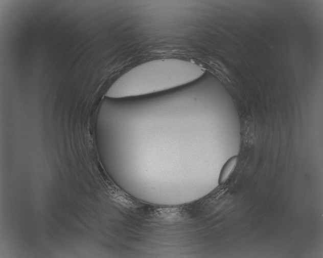 X0000054360377200507290811