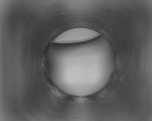 X0000054360379200507290811