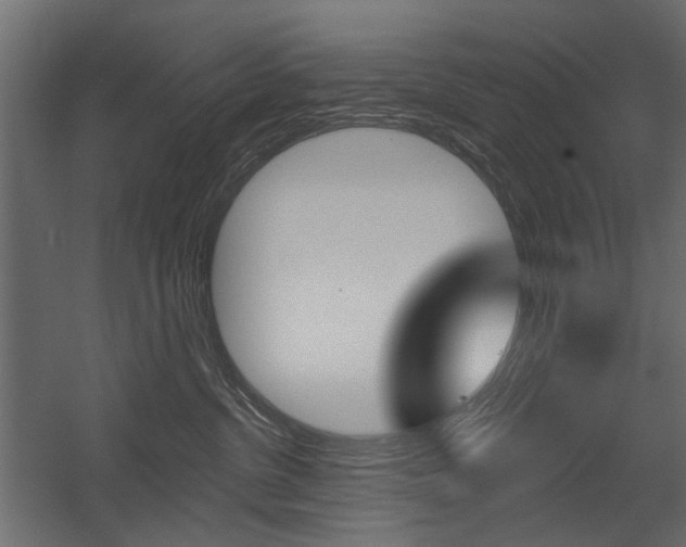 X0000054360380200507290811