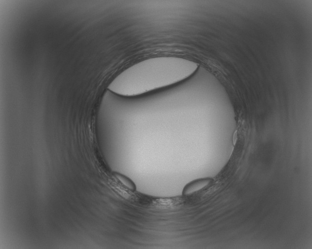 X0000054360381200507290811