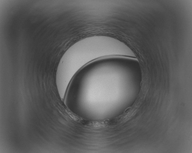 X0000054360384200507290811