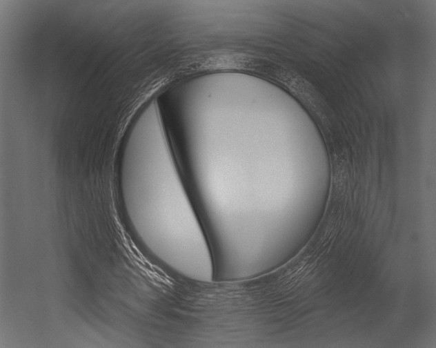 X0000054360386200507290810