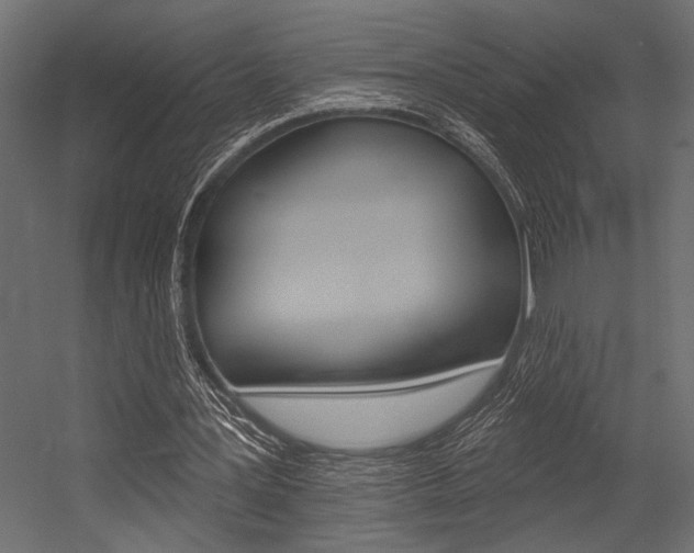 X0000054360387200507290810