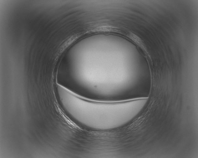 X0000054360389200507290810