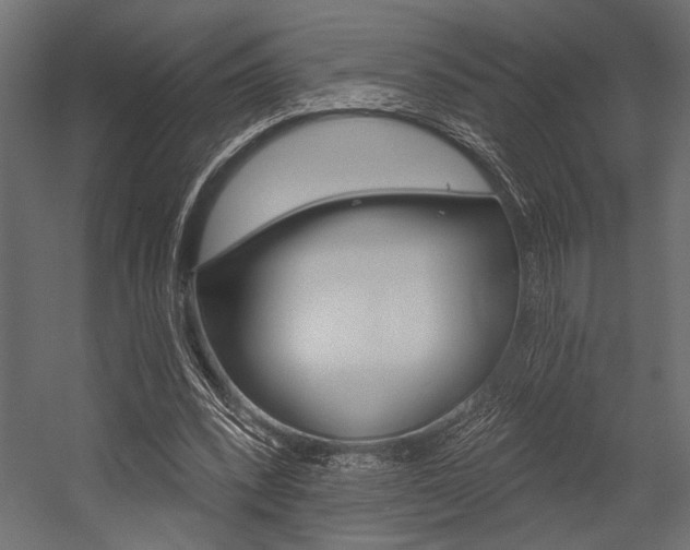 X0000054360392200507290810