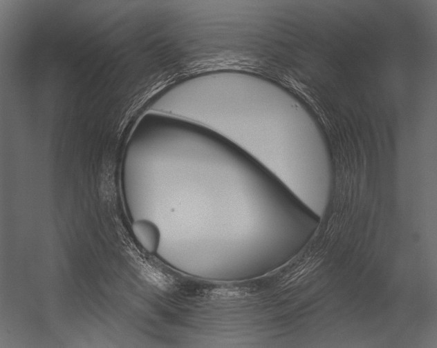 X0000054360394200507290810