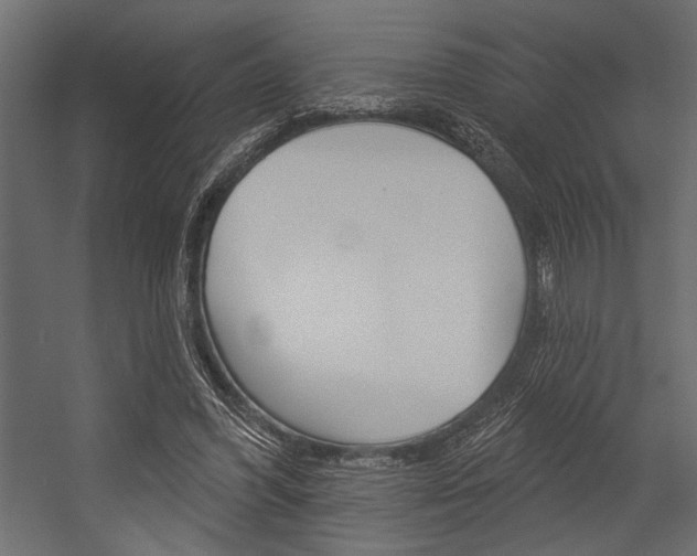 X0000054360396200507290810