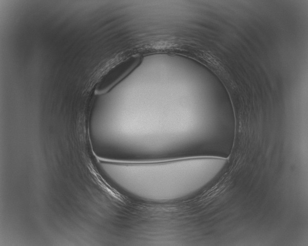 X0000054360397200507290810