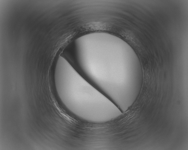 X0000054360398200507290810
