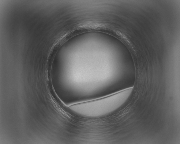 X0000054360399200507290810