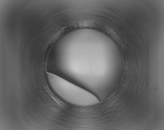 X0000054360401200507290810