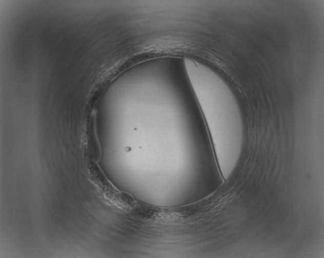 X0000054360403200507290810
