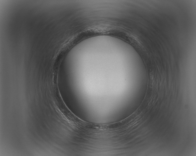 X0000054360404200507290810