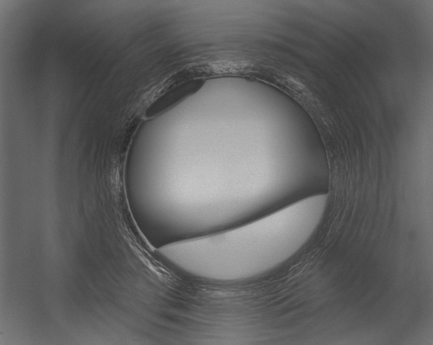 X0000054360405200507290810