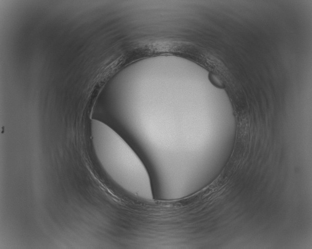X0000054360406200507290810