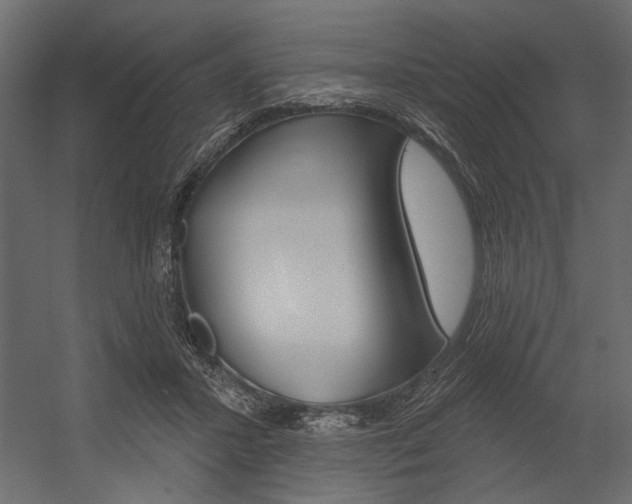 X0000054360407200507290810