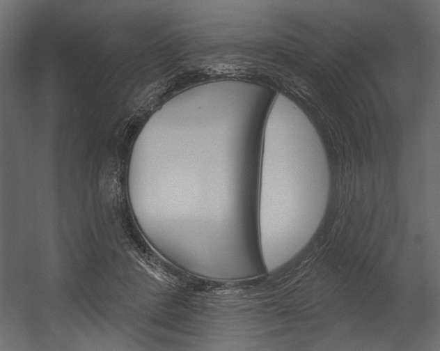 X0000054360408200507290810