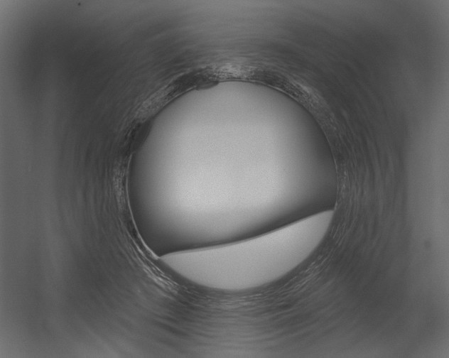 X0000054360409200507290810
