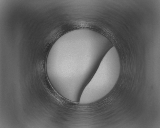 X0000054360410200507290810