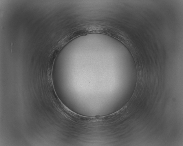 X0000054360411200507290810