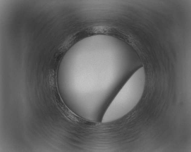X0000054360413200507290810