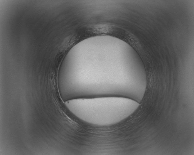 X0000054360414200507290810