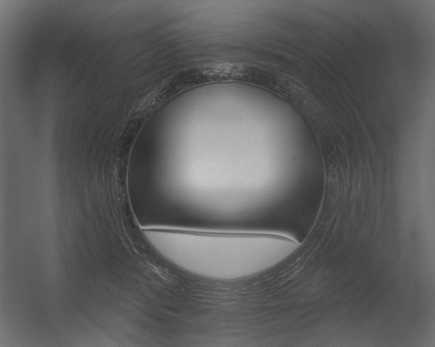 X0000054360416200507290810