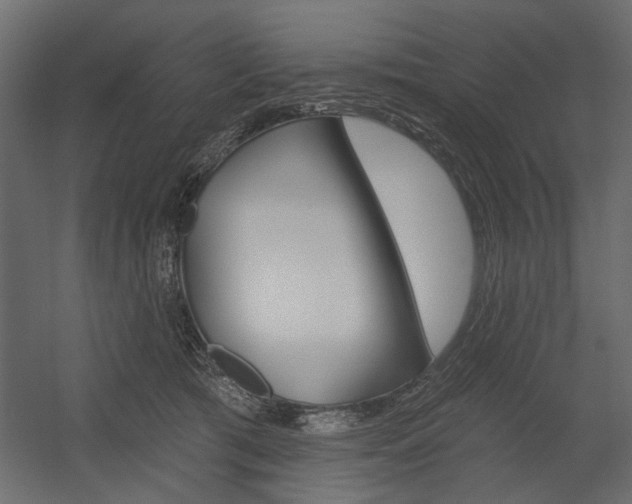 X0000054360417200507290810