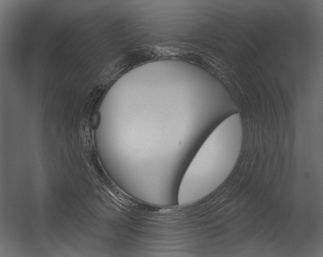 X0000054360418200507290810
