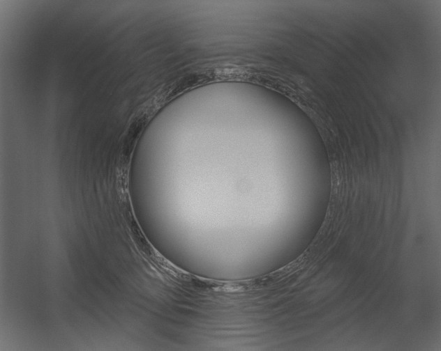 X0000054360419200507290810