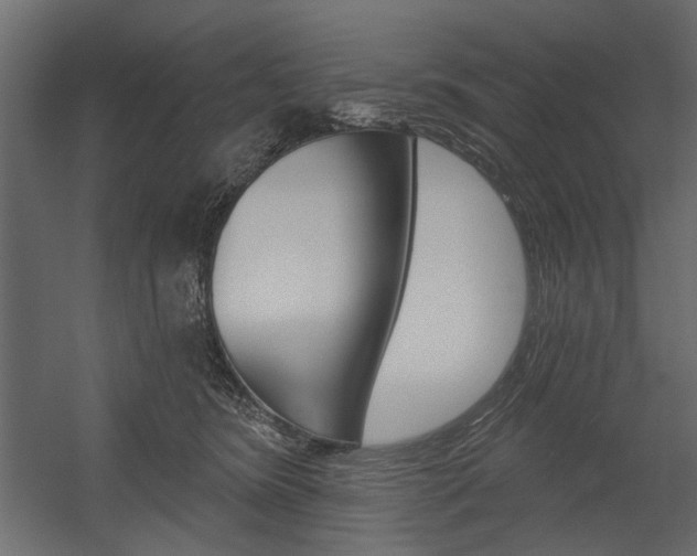 X0000054360420200507290810