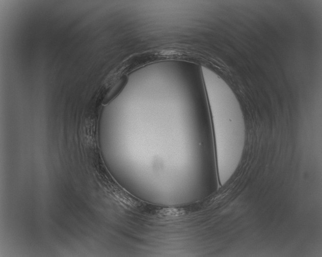 X0000054360421200507290810