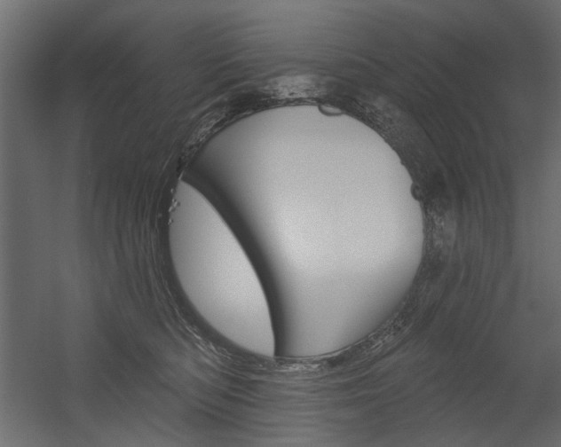 X0000054360422200507290810