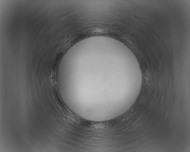 X0000054360423200507290810