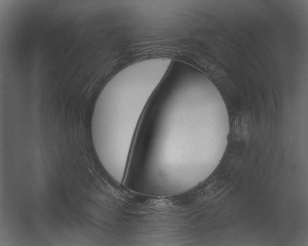 X0000054360424200507290810