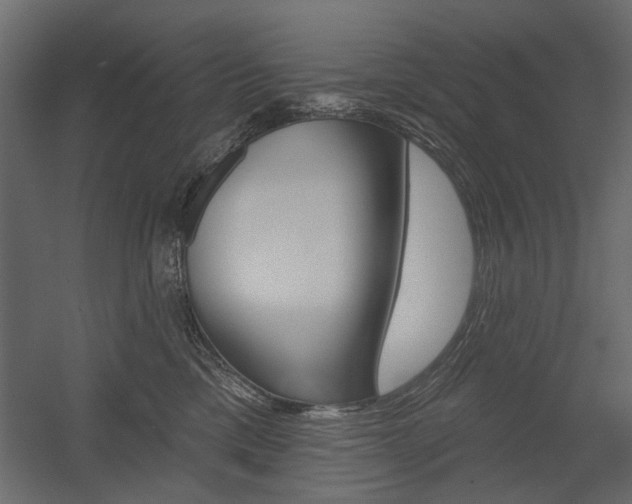 X0000054360425200507290810