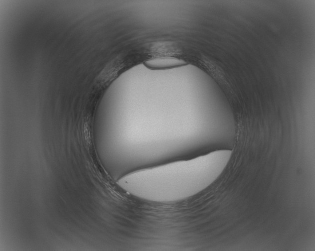 X0000054360426200507290810