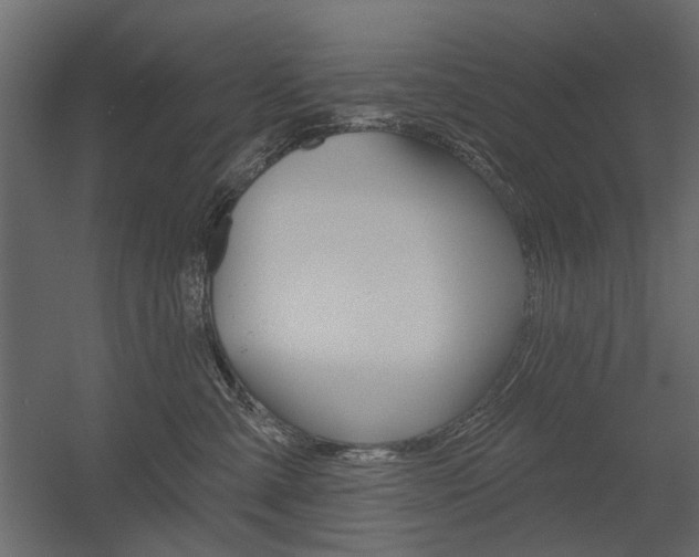 X0000054360427200507290810