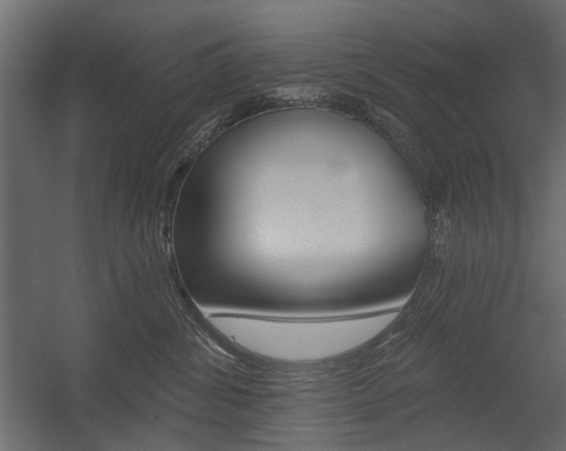 X0000054360428200507290810