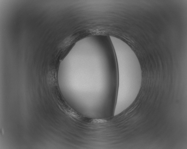 X0000054360429200507290810