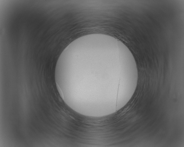 X0000054360431200507290810